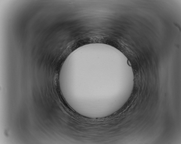 X0000097510038200802220915
