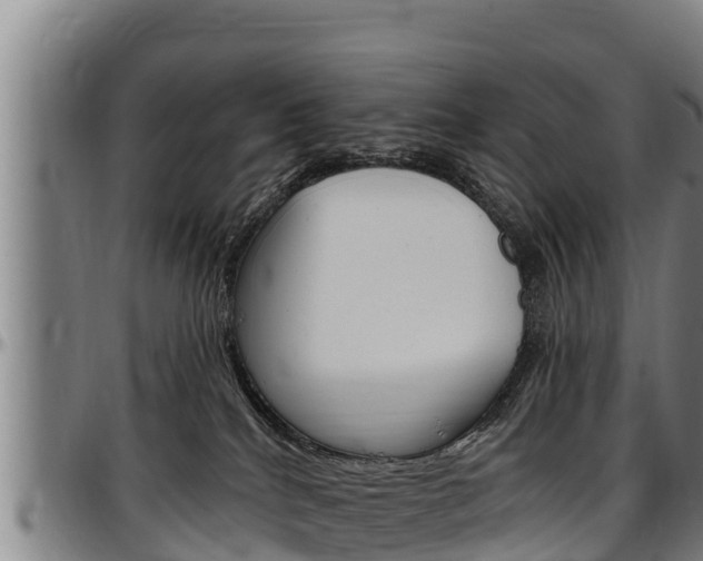 X0000097510040200802220915