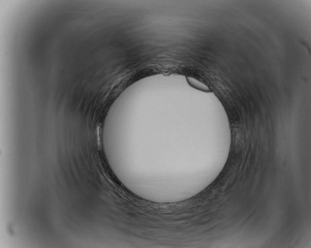X0000097510042200802220915