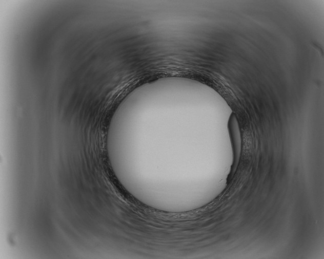 X0000097510043200802220915