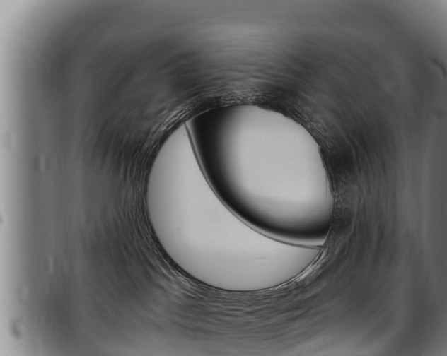 X0000097510045200802220915