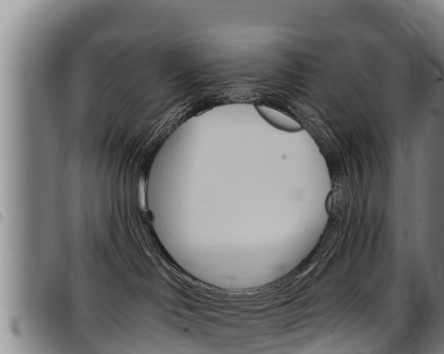 X0000097510046200802220915