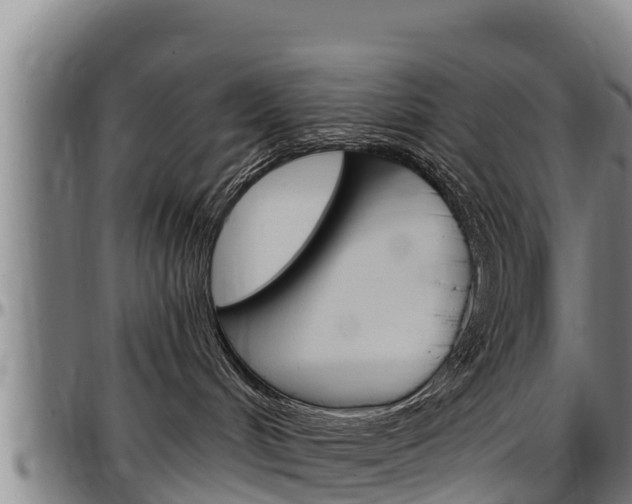 X0000097510048200802220915
