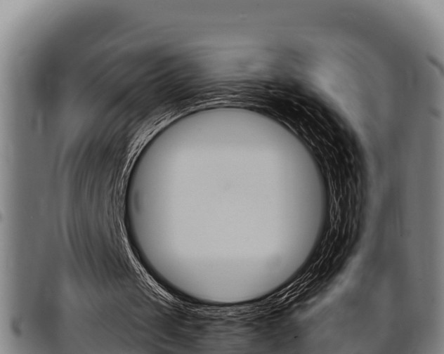 X0000097510049200802220914