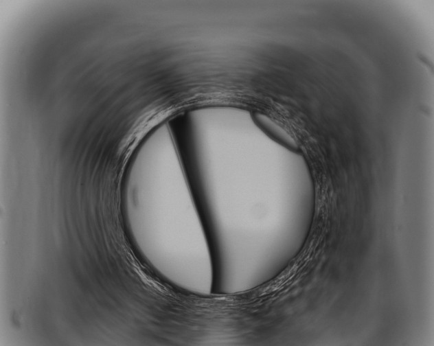 X0000097510050200802220914