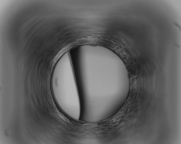 X0000097510051200802220914