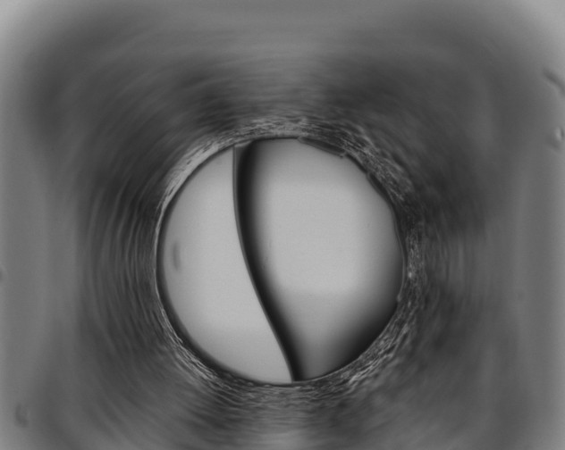 X0000097510052200802220914