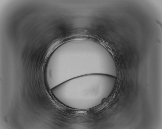 X0000097510053200802220914