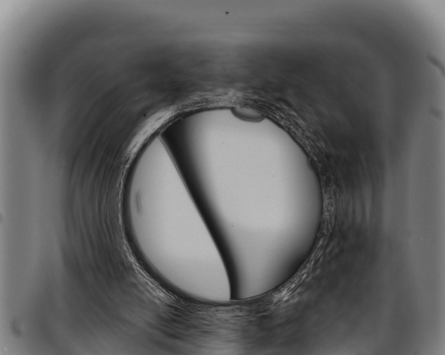 X0000097510054200802220914
