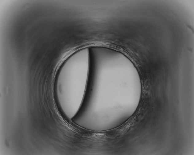 X0000097510055200802220914