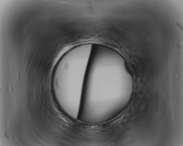 X0000097510056200802220914