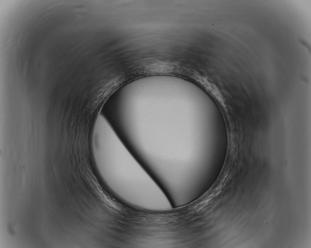 X0000097510057200802220914