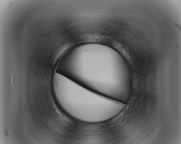 X0000097510058200802220914