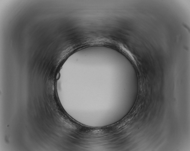 X0000097510059200802220914