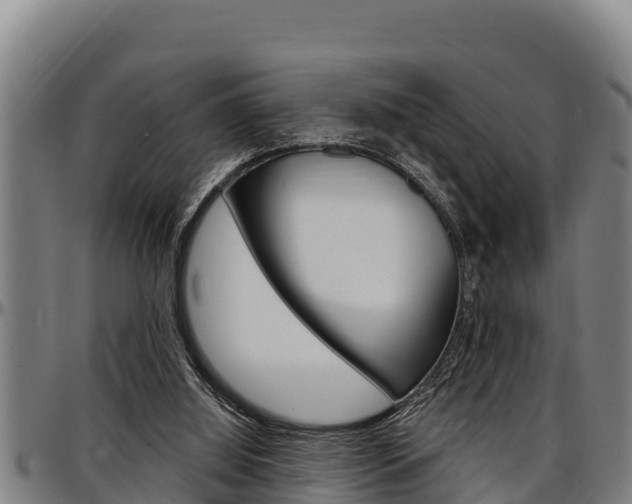 X0000097510060200802220914