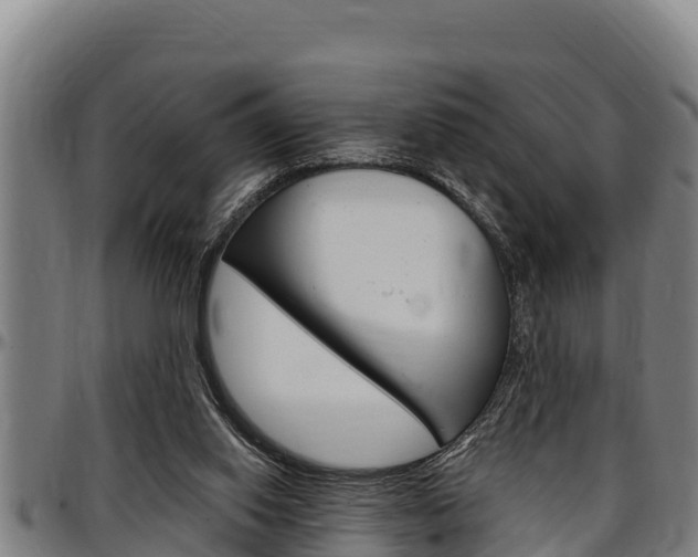 X0000097510062200802220914