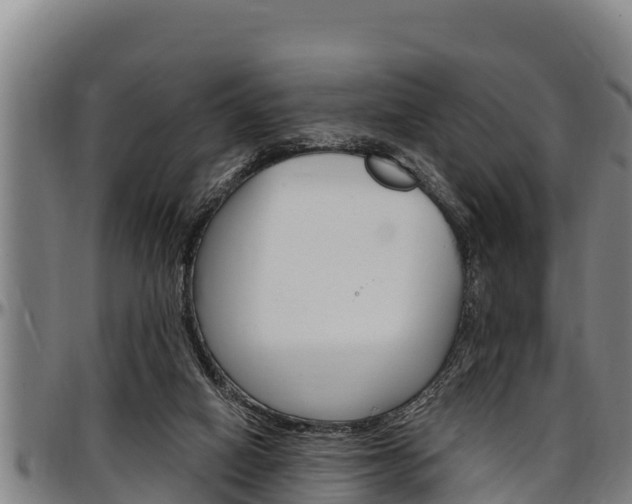 X0000097510066200802220914