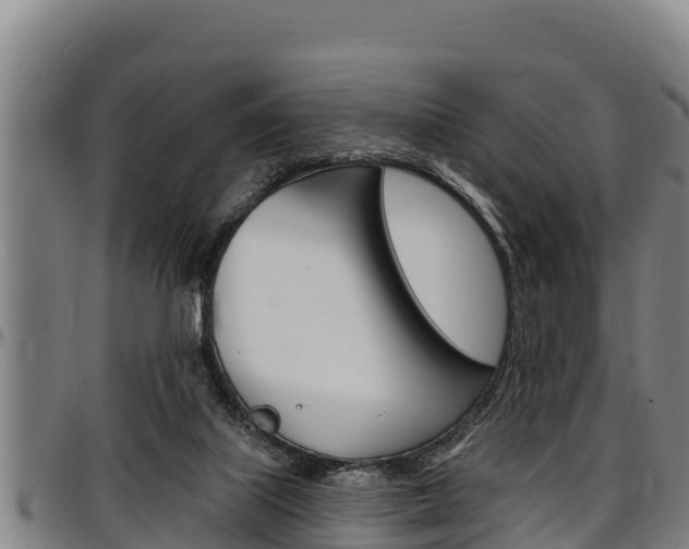 X0000097510067200802220915