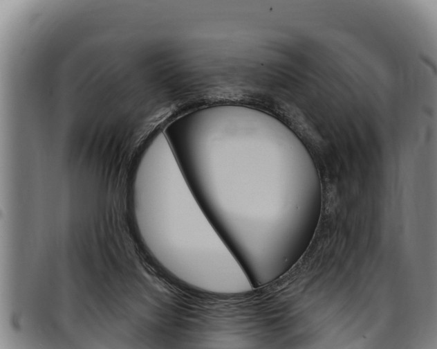 X0000097510068200802220915