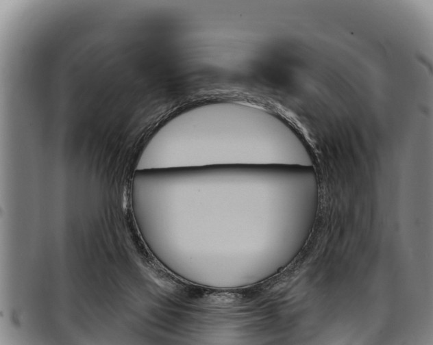 X0000097510069200802220915