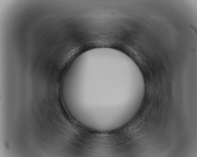 X0000097510071200802220915