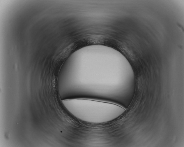 X0000097510073200802220915