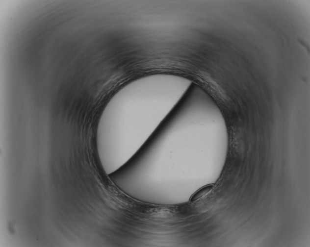 X0000097510074200802220915