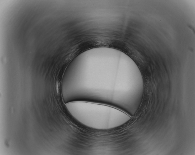 X0000097510075200802220915