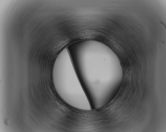 X0000097510076200802220915
