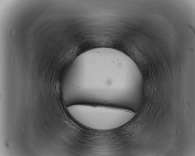 X0000097510077200802220915