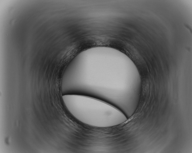 X0000097510078200802220915