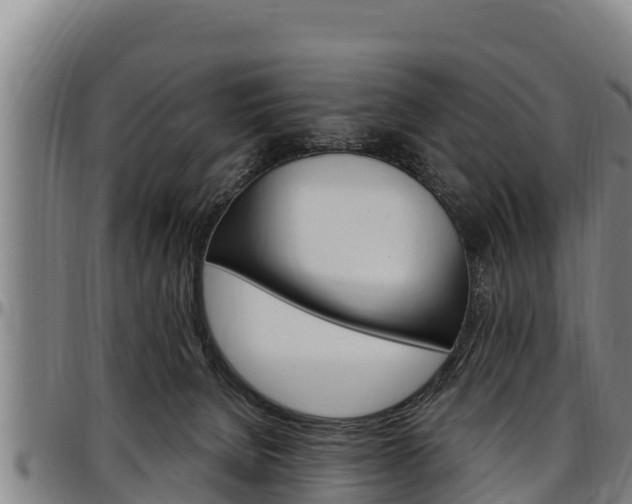 X0000097510080200802220915