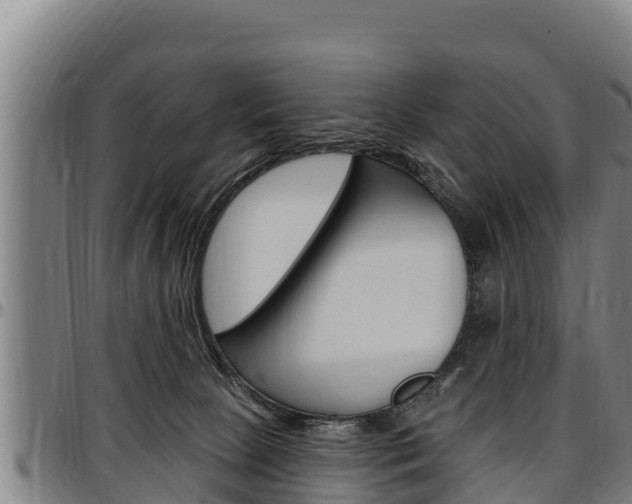 X0000097510081200802220915