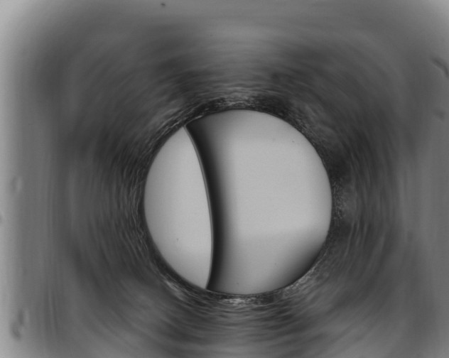 X0000097510082200802220915