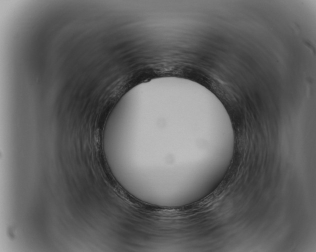 X0000097510085200802220915