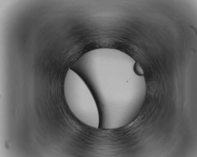 X0000097510086200802220915