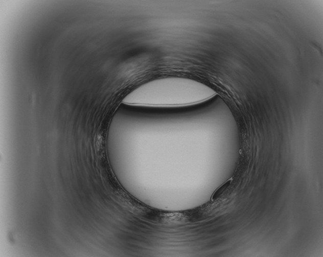 X0000097510087200802220915