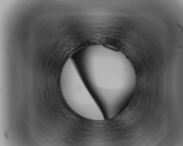 X0000097510088200802220915