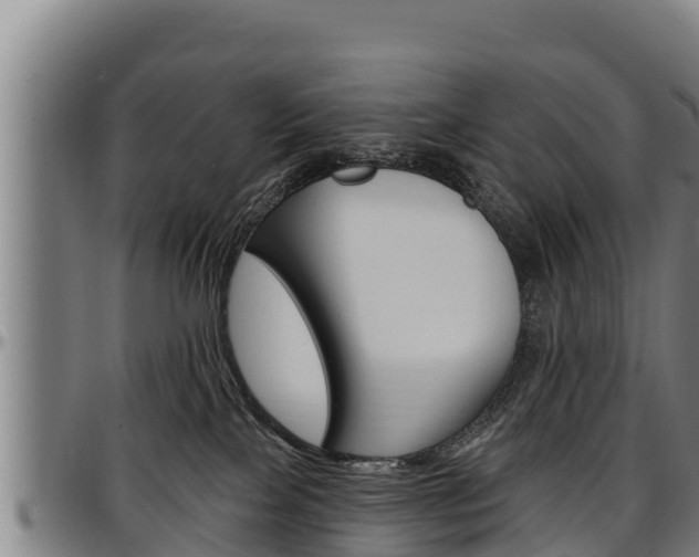 X0000097510089200802220915
