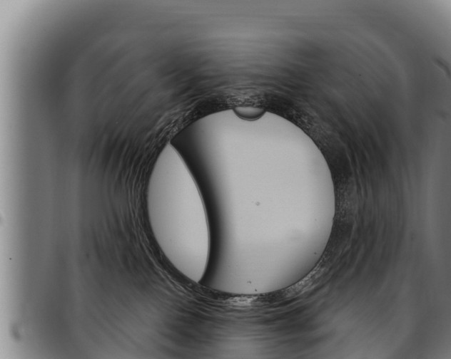 X0000097510090200802220915