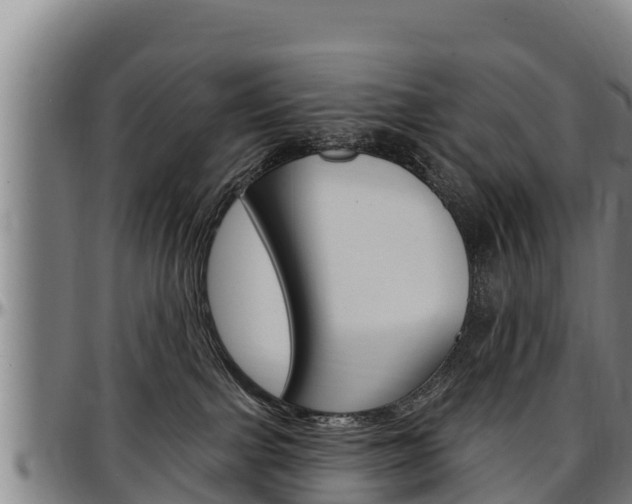 X0000097510091200802220915