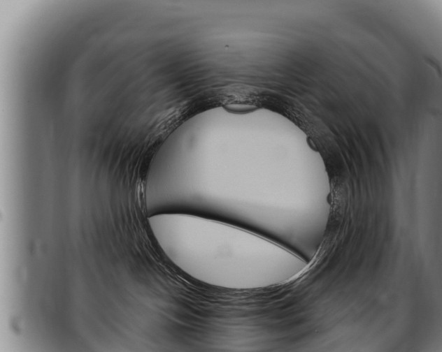X0000097510094200802220915