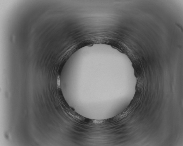 X0000097510095200802220915