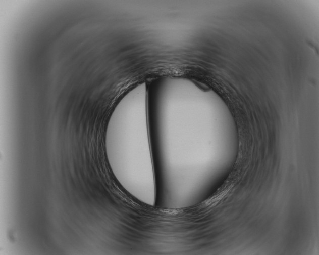 X0000097510096200802220915