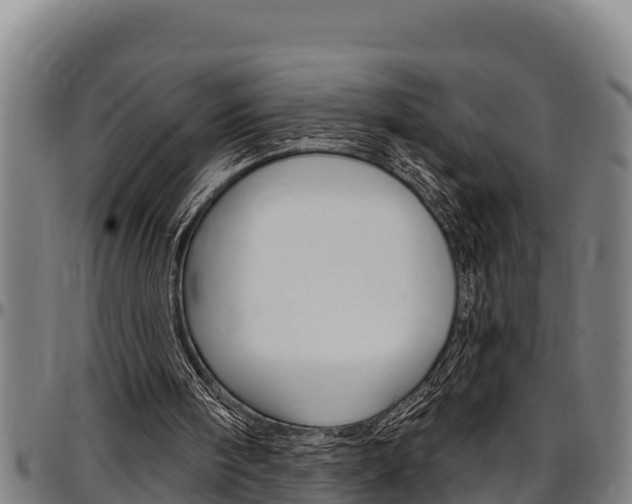 X0000097510098200802220914
