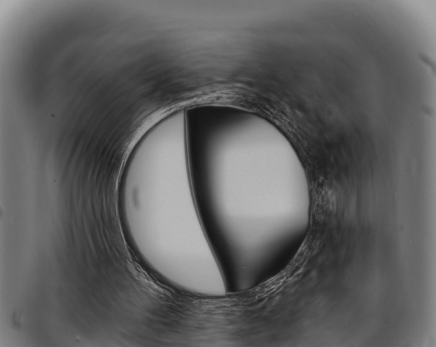 X0000097510100200802220914