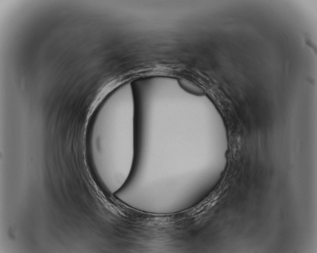 X0000097510102200802220914