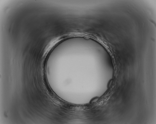X0000097510103200802220914
