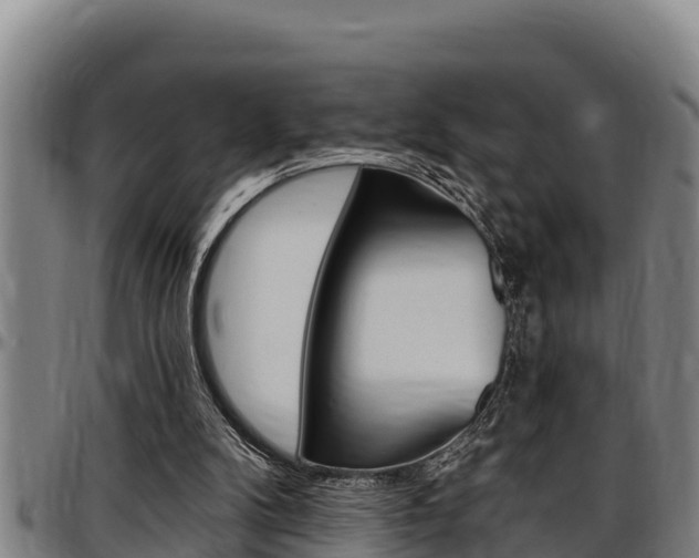 X0000097510104200802220914