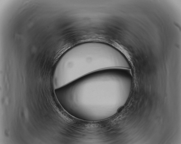 X0000097510105200802220914